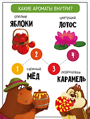 Ароматная книга "Запутанная история" - 2