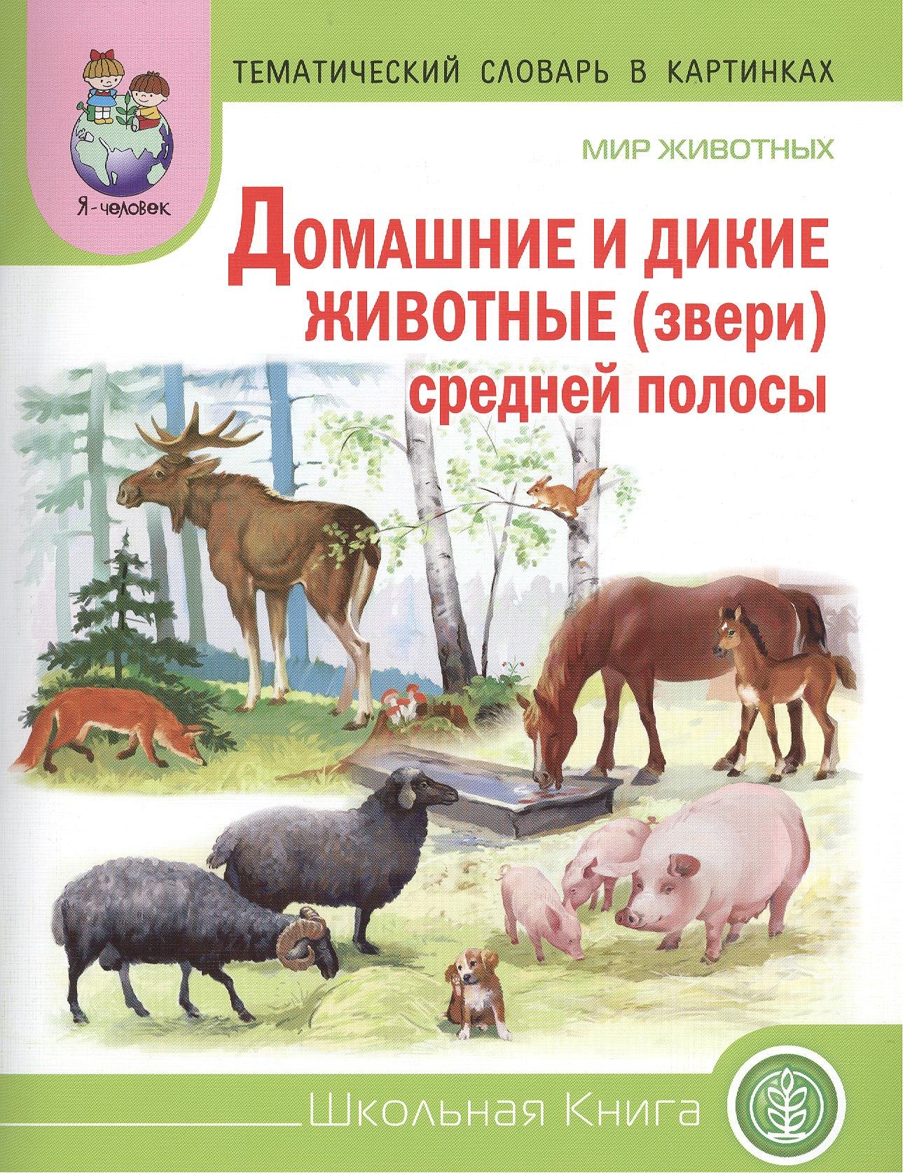 

Мир животных Домашние и дикие животные (звери) средн. полосы (мТемСлКартинк)
