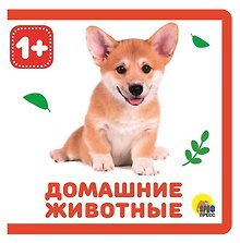 Домашние животные