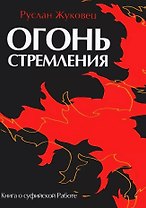 Огонь стремления. Книга о суфийской Работе