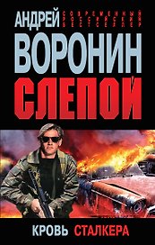 Слепой. Кровь сталкера: роман