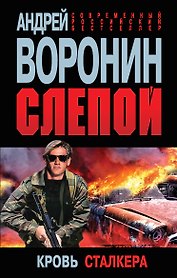 Слепой. Кровь сталкера: роман
