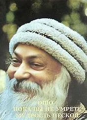 Ошо. Пока вы не умрете. Мудрость песков