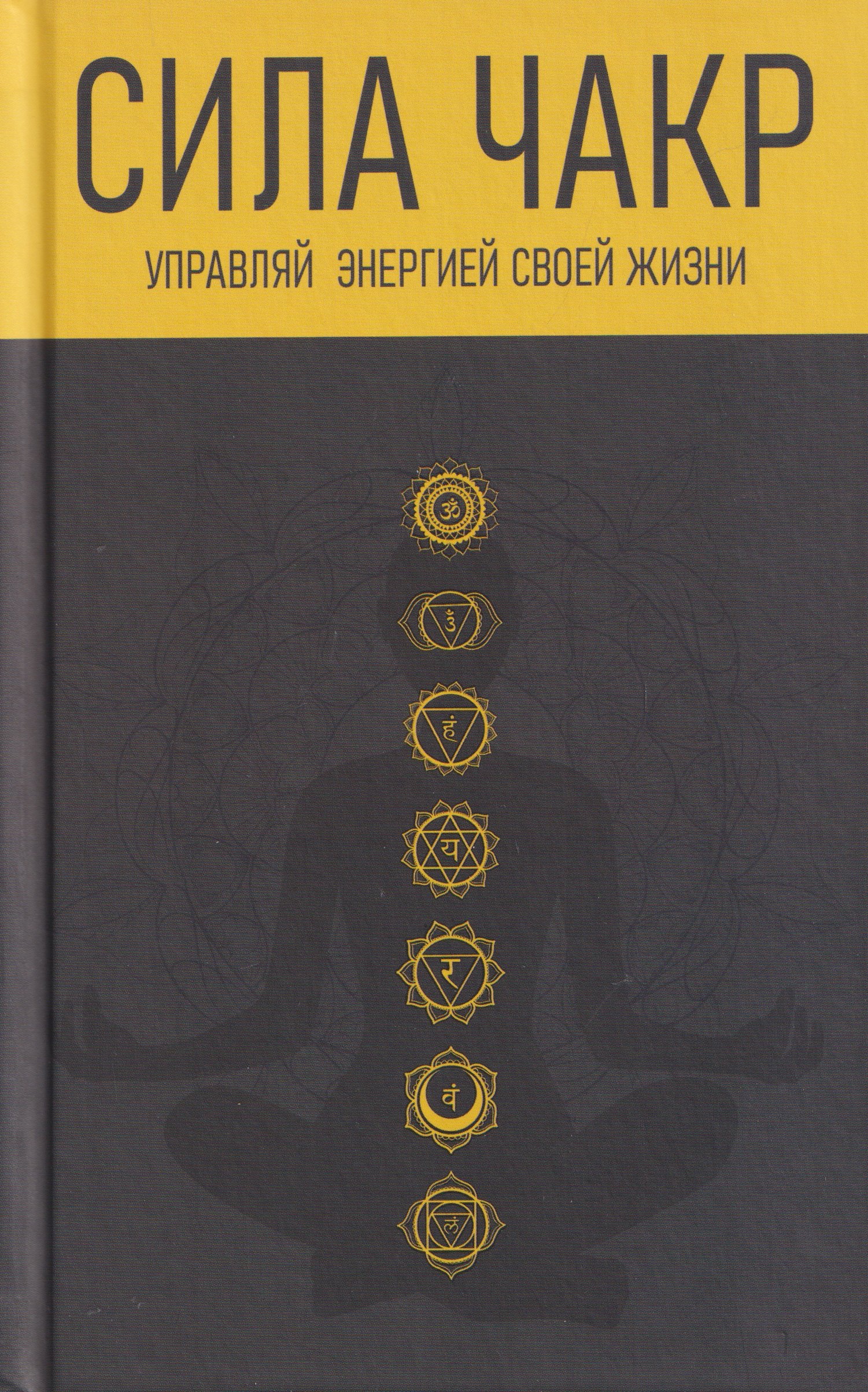 

Сила чакр: управляй энергией своей жизни