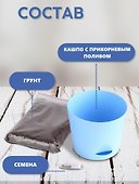 Набор д/выращивания растений Тысяча листьев, Инжир (tl-032) - 2