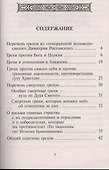 Перечень грехов с объяснением их духовного смысла - 1