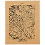 Тетрадь общая «Art of nature», 96 листов в клетку, А5, в ассортименте - Hatber