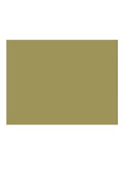 Бумага для пастели 50*65 "Mi-Teintes" 160г/м2 №107 анис, Canson