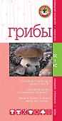 Грибы. Мини-эксперт - 0