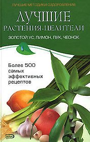 Лучшие растения целители. Золотой ус, лимон, лук, чеснок