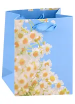 Пакет А6 14*11,5*6 "Spring blossom" жен., бум.мат.ламинат