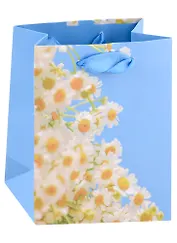 Пакет А6 14*11,5*6 "Spring blossom" жен., бум.мат.ламинат 