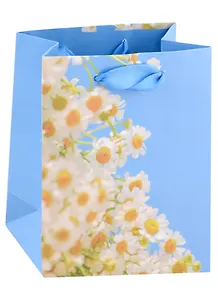 Пакет А6 14*11,5*6 "Spring blossom" жен., бум.мат.ламинат  - 0