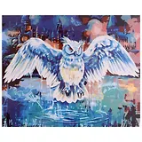 Холст с красками по номерам "Сова и волшебный замок", 40 х 50 см