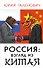 Россия: взгляд из Китая - 0