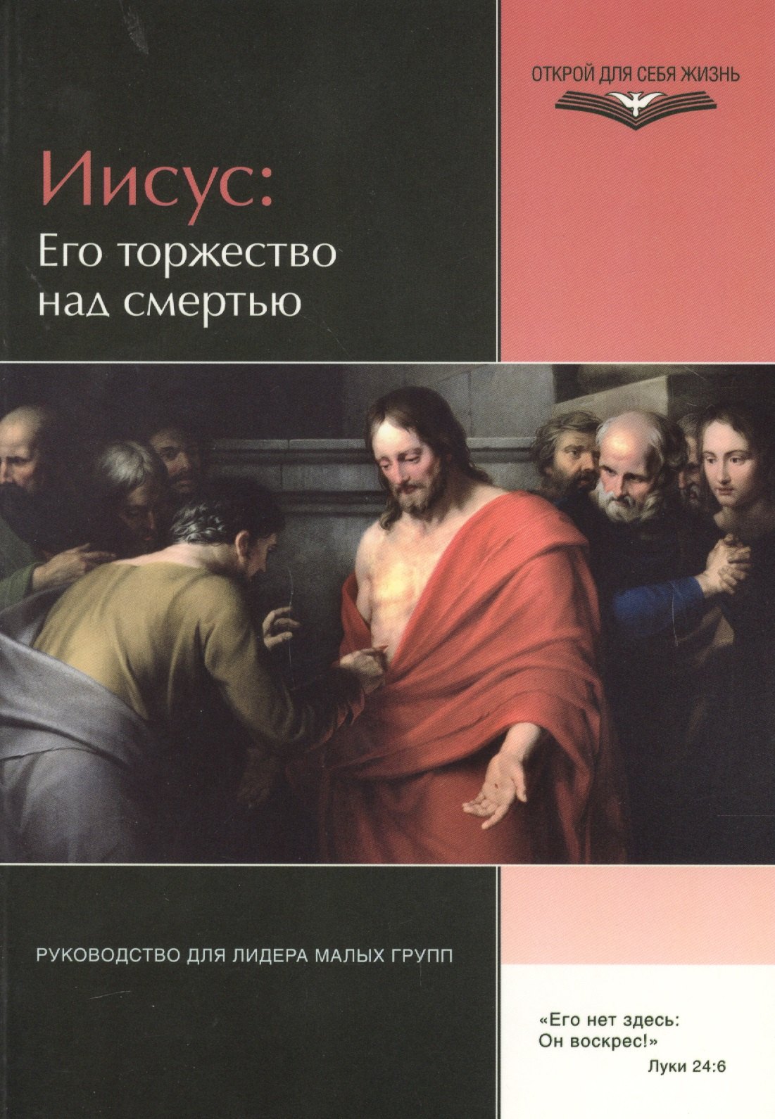 

Иисус: Его торжество над смертью. Руководство для лидеров малых групп