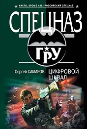 Цифровой шквал : роман