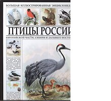 Большая иллюстрированная энциклопедия. Птицы России