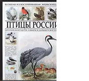 Большая иллюстрированная энциклопедия. Птицы России