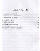 Как Брусилов спас Францию. Хроника легендарного прорыва - 2