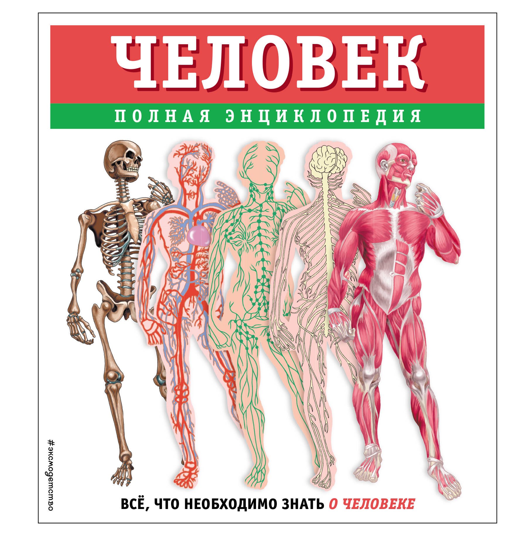

Человек. Полная энциклопедия