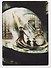 Harry Potter. Film Vault. Volume 2. Diagon Alley, The Hocwarts Express, and the Ministry - 2