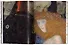 Gustav Klimt. The Complete Paintings - 2