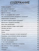 Где живут дельфины? И чего мы не знаем о самых общительных животных? - 1