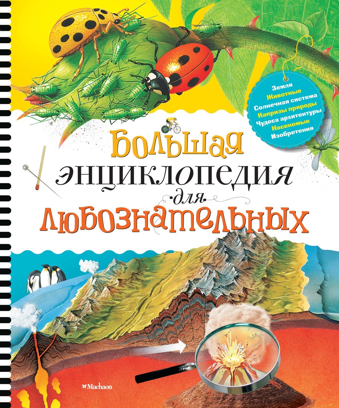 

Большая энциклопедия для любознательных