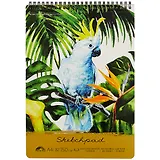 Альбом для пастели «Попугай», 30 листов, А4