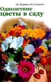Однолетние цветы в саду