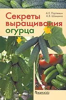 Секреты выращивания огурца