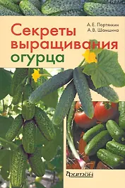 Секреты выращивания огурца