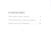 Затонувшие в Арктике. Аварии и катастрофы в полярных морях - 1