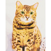 Холст с красками по номерам Красивый котик (Х-2913) (30х40см) (20цв) (Рыжий Кот) (3+) (коробка)