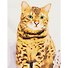 Холст с красками по номерам Красивый котик (Х-2913) (30х40см) (20цв) (Рыжий Кот) (3+) (коробка) - 0