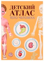 ДЕТСКИЙ АТЛАС "ТЕЛО ЧЕЛОВЕКА" мат.ламин, выб.лак, тиснение, мелов.бум.  236х336