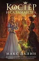 Костер и Саламандра. Книга 2