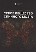Серое вещество спинного мозга - 0