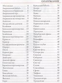 Мини-энциклопедия. Кошки - 2