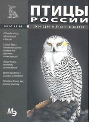 Птицы России. Мини энциклопедия