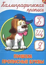 КАЛЛИГРАФИЧЕСКАЯ ПРОПИСЬ А5. ПИШЕМ ПРОПИСНЫЕ БУКВЫ