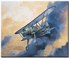 Модель, сборная, Italeri, Самолёт, CR.42 LW, 1:72