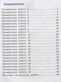 Русский язык. Проверочные работы. 1 класс - 1