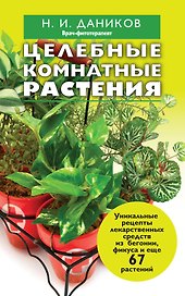 Целебные комнатные растения