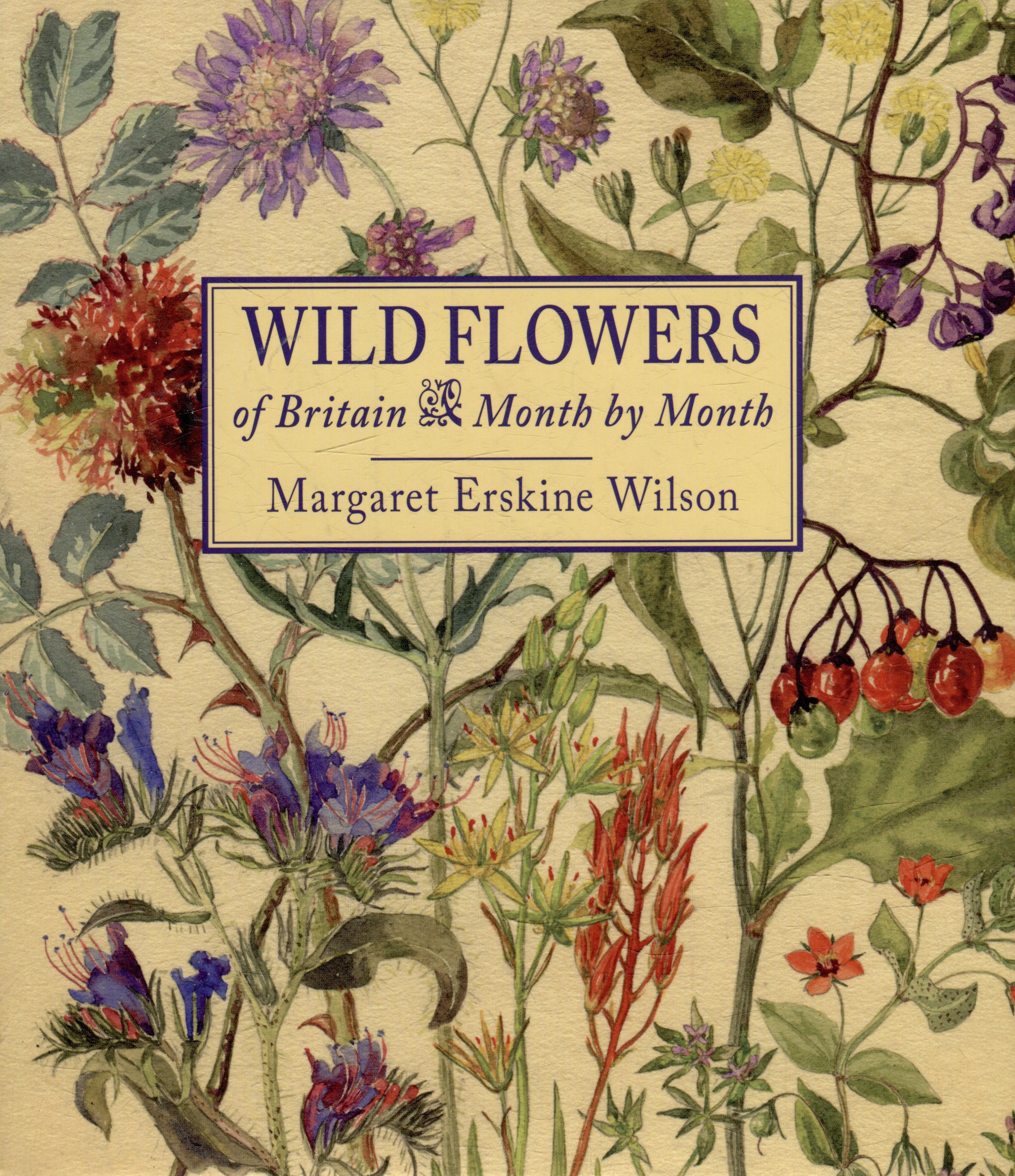 

Wild Flowers of Britain: Month by Month