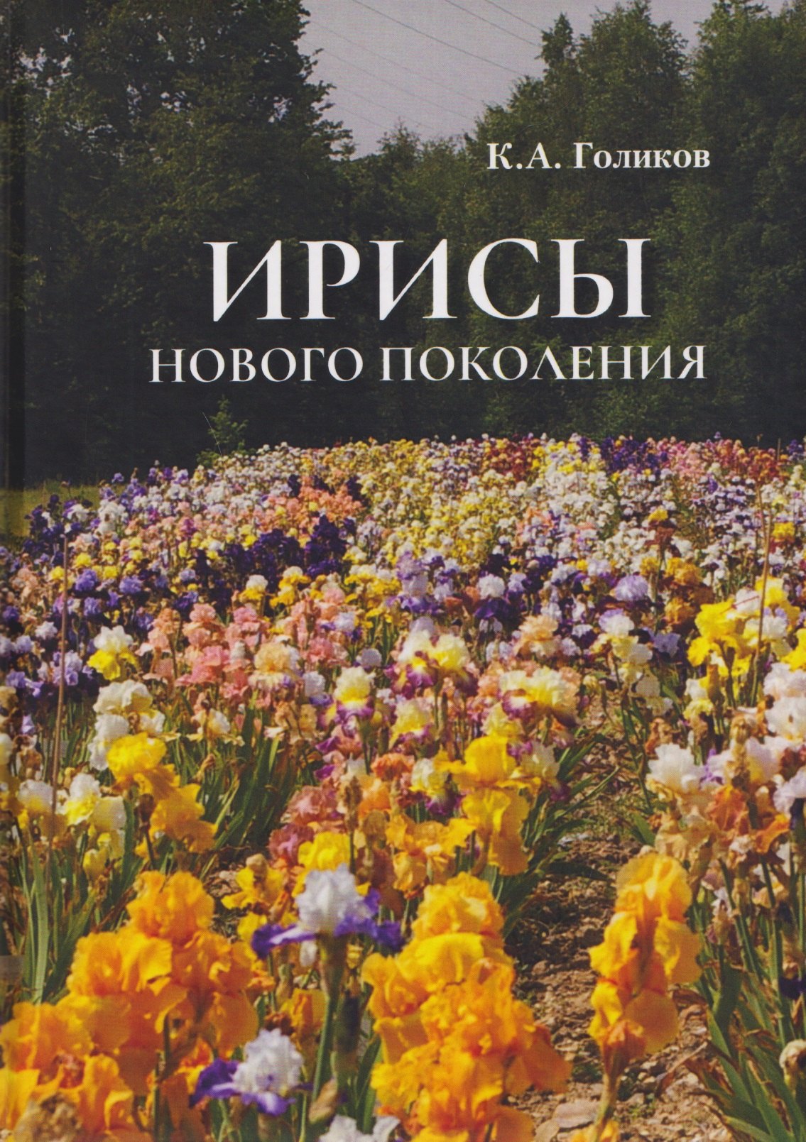 

Ирисы нового поколения