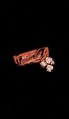 Невероятное преступление Худи Розена - 2