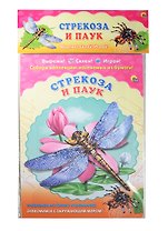 Стрекоза. Паук
