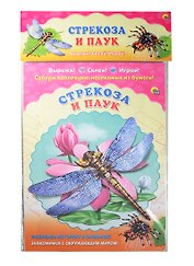 Стрекоза. Паук